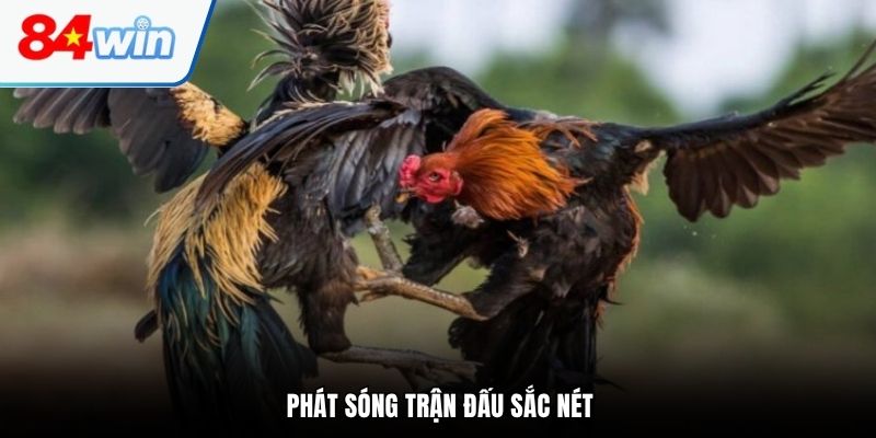 Phát sóng trận đấu sắc nét