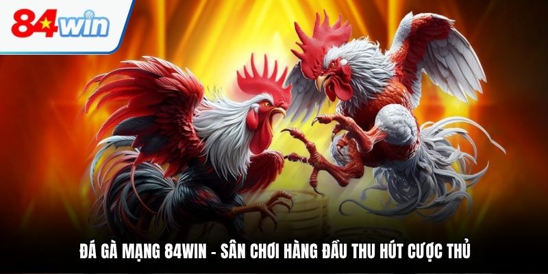 Đá gà mạng