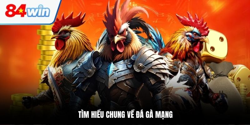 Tìm hiểu chung về đá gà mạng
